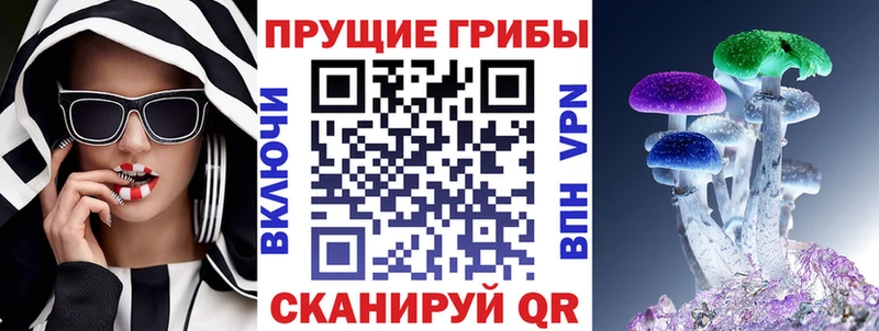 купить наркотик  Киренск  Галлюциногенные грибы Psilocybine cubensis 